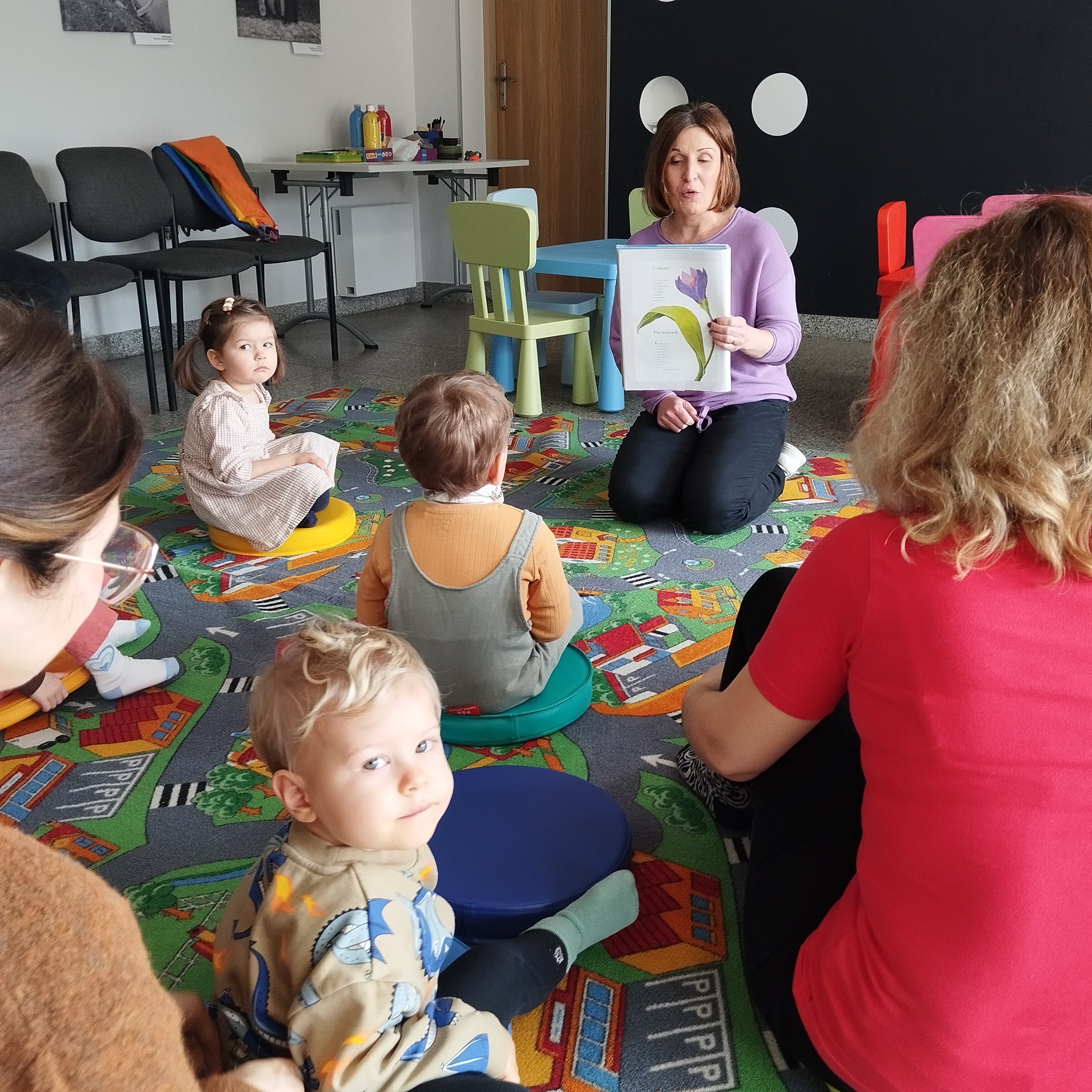 Maluch w bibliotece i krokus